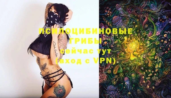 ALPHA PVP Нефтекумск