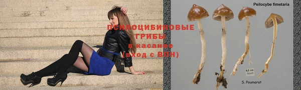 ALPHA PVP Нефтекумск