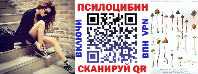 Псилоцибиновые грибы мицелий  Купить закладки  Калач-на-Дону 